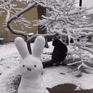 Meet your Posher, Vivian